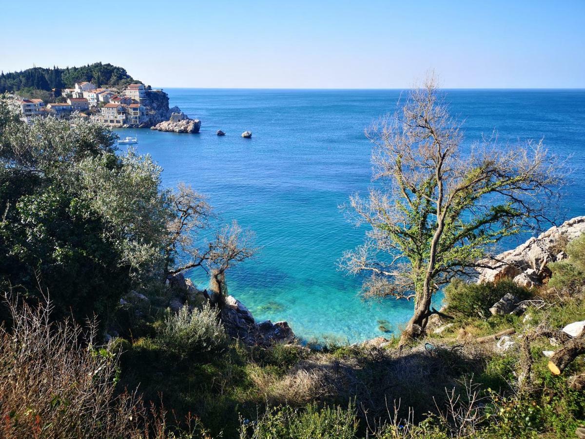Apartmán Langust - Free Parking Sveti Stefan Exteriér fotografie